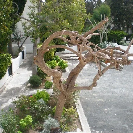 Apartment Gardens